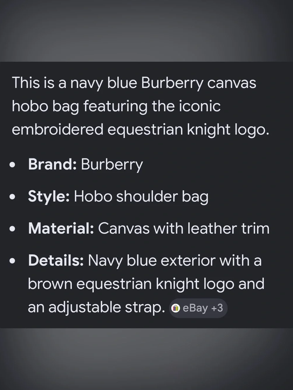 Burberry Navy Canvas Hobo Bag with Brown Accents